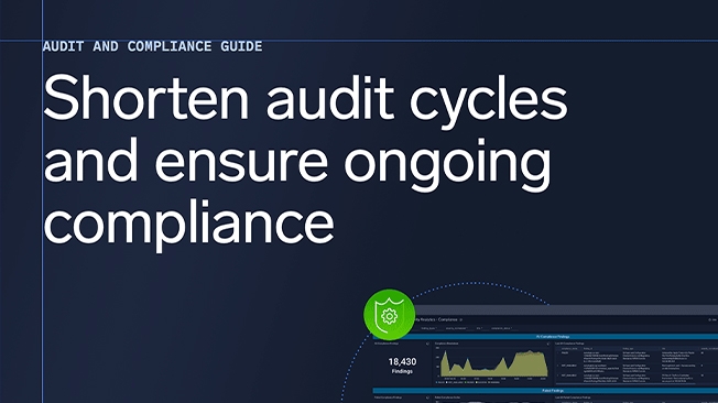 thumb audit and compliance brief thumb